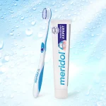 خمیردندان مینی مریدول مدل پارودون اکسپرت (meridol)
